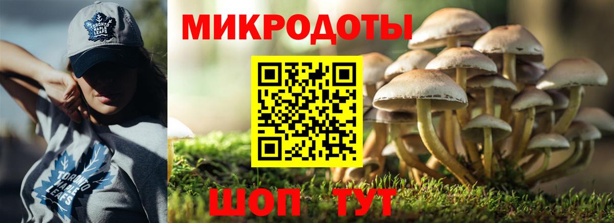 Галлюциногенные грибы Magic Shrooms Светлоград