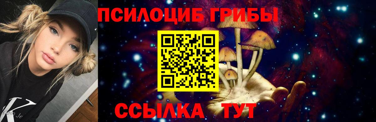 Псилоцибиновые грибы Psilocybine cubensis  Вход с VPN  Светлоград  Псилоцибиновые грибы MAGIC MUSHROOMS 